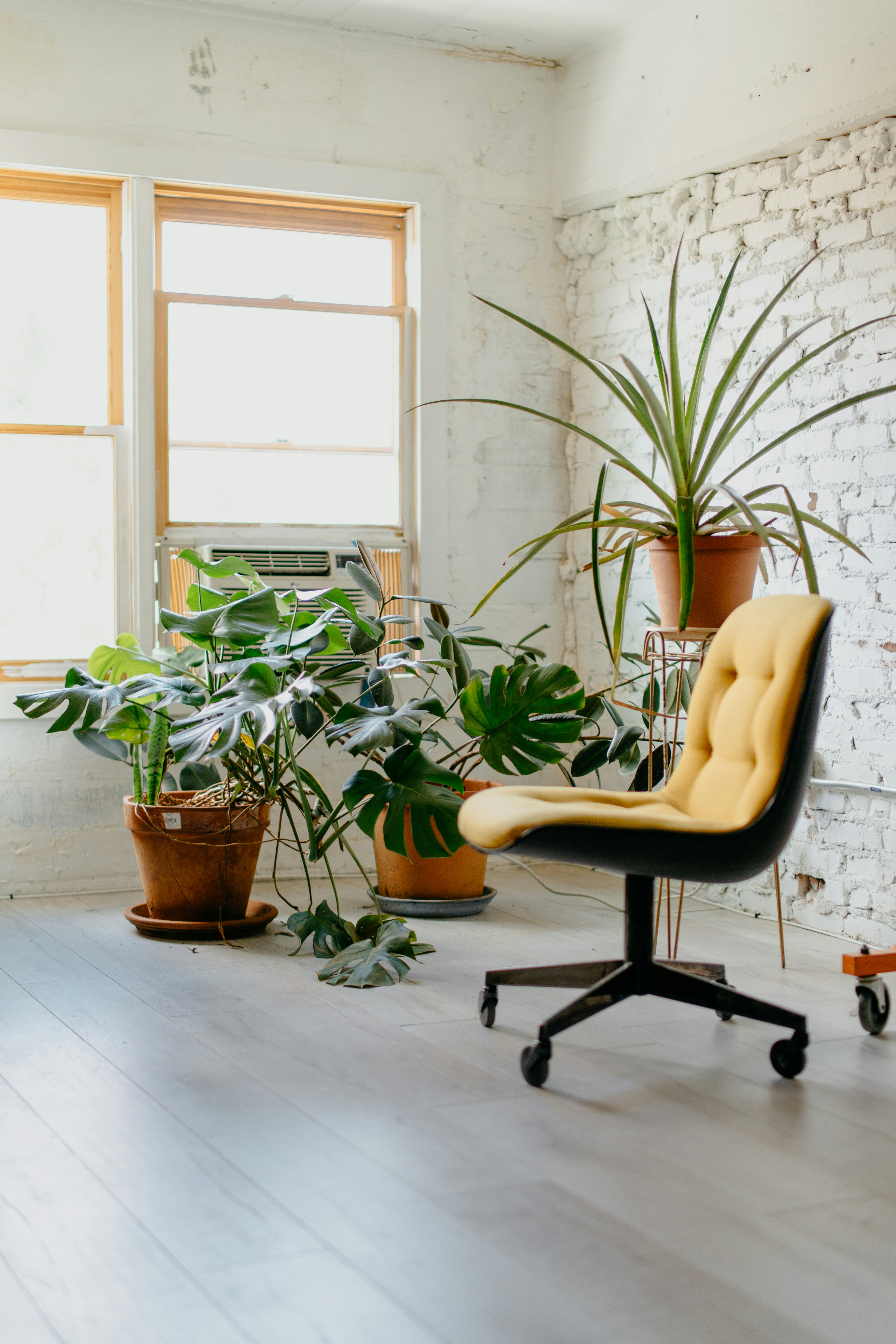 Therapist Branding